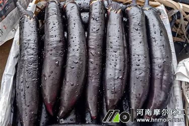 茄子用什么肥料好 怎么给茄子施肥