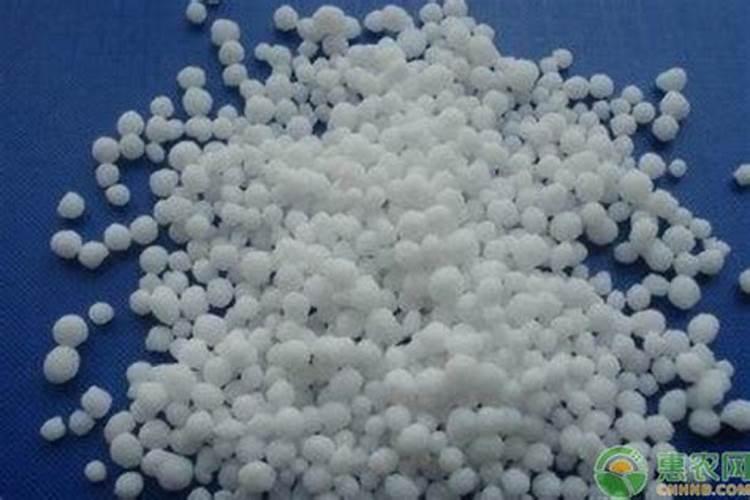 什么氮肥含量高什么含氮肥最多