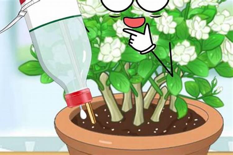 氮肥可以兑水浇花吗