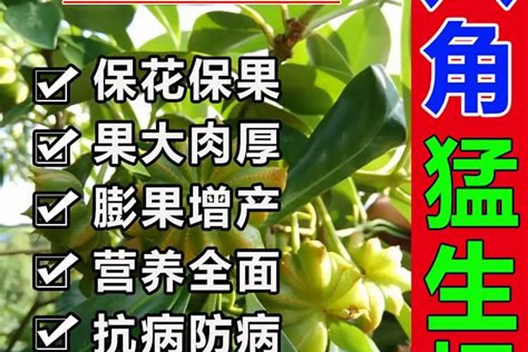 生根肥使用过程中应注意什么