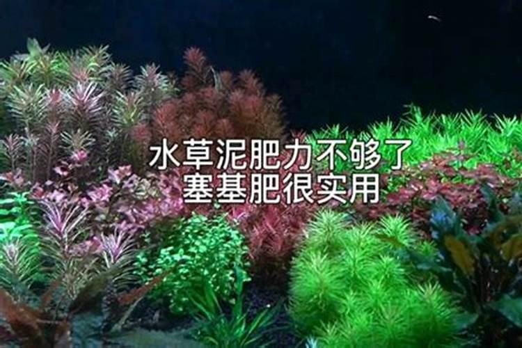 硼肥对油菜的作用,硼肥过量怎样补救