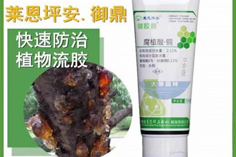 茎基腐病用什么药灌根效果好