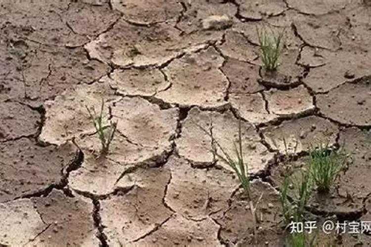 长期用复合肥,现在能用什么来改变土壤？