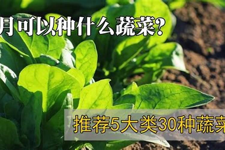 土地贫瘠了用什么肥料