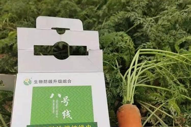 花生根结线虫病防治方法