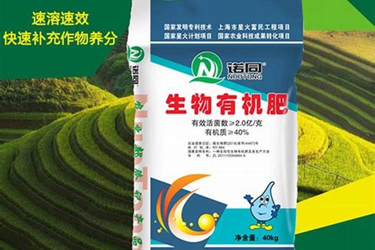 盐的股票有哪些