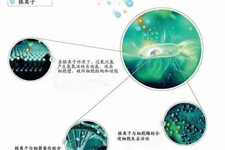 活性银离子抗菌液的功效有哪些 适合什么人群