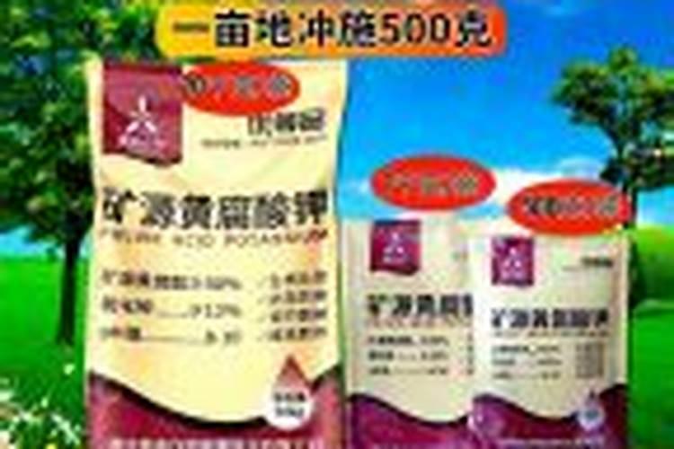 钾肥价格多少钱一吨