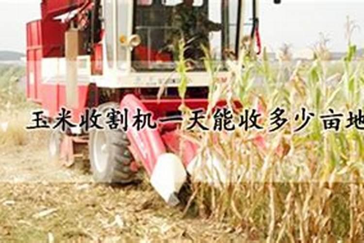 一亩地的玉米地要用多少化肥