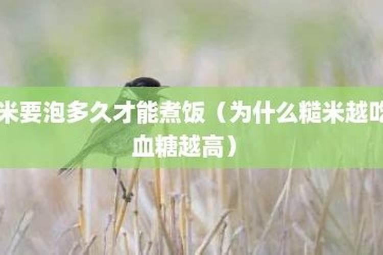 种红薯如何使用钾肥