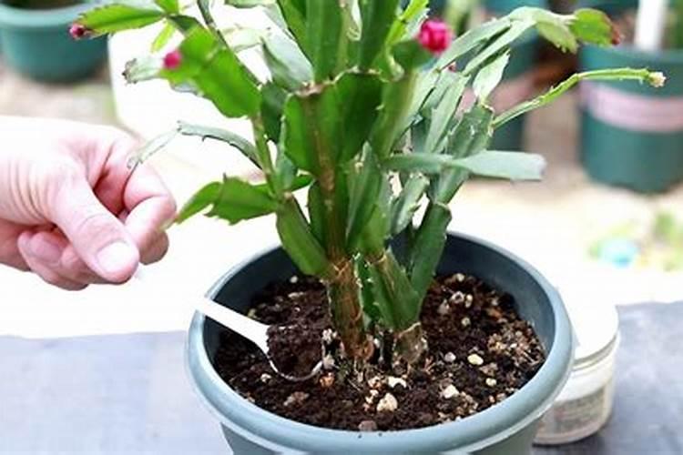 硝酸磷钾肥的缺点与优点