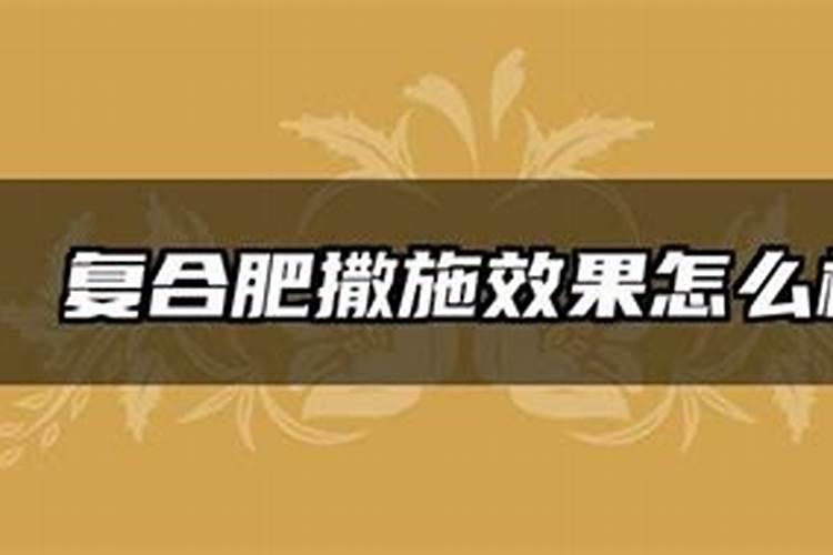 青海青稞酒公司有哪些？