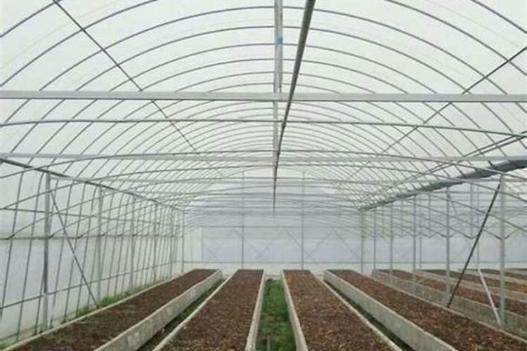 蔬菜追施叶面肥行吗？蔬菜叶面肥能保花保果吗？蔬菜叶面肥用“昆仑...