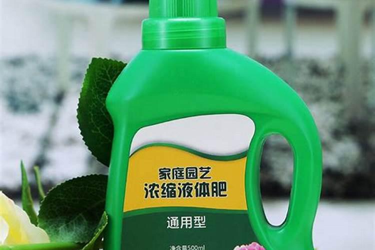 茶花开花过后施什么肥(茶花花期后怎样施肥开花多)