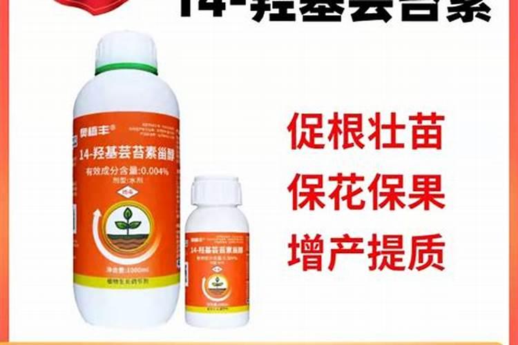 荔枝保花保果农药最佳配方