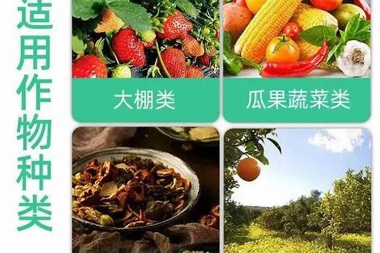 果树施肥氮长叶,磷长果,那施用生物肥长啥？有何作用？