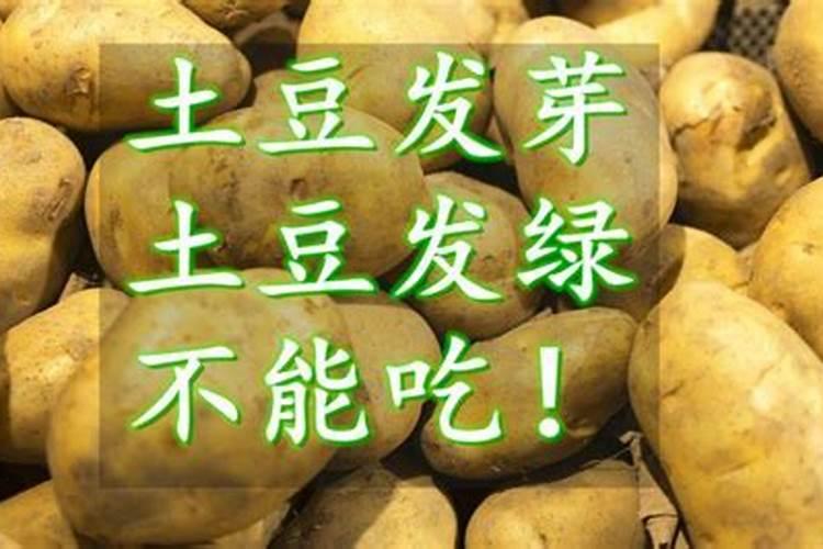 土豆用什么肥料最佳