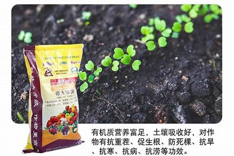 排名前十的微生物菌肥