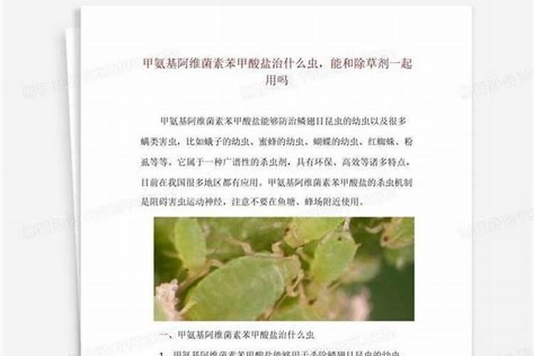 春天果树头遍药打什么