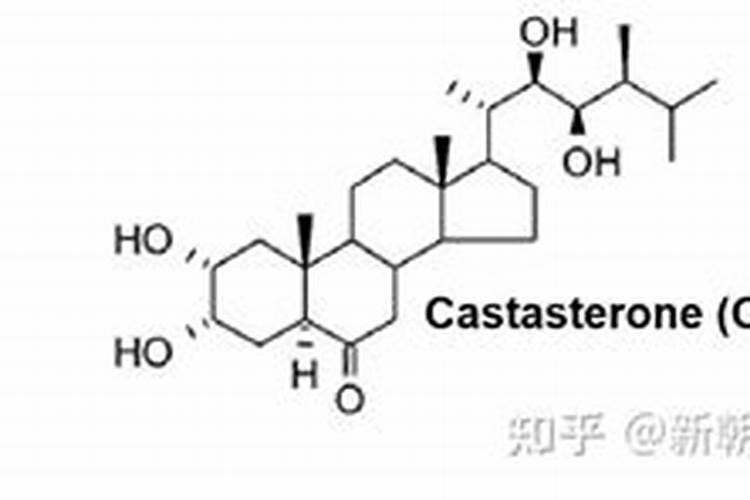 芸苔素用多了对植物有影响吗