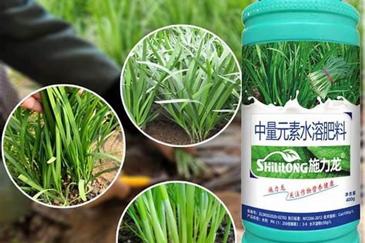 韭菜喷叶面肥用磷酸二氢钾好吗
