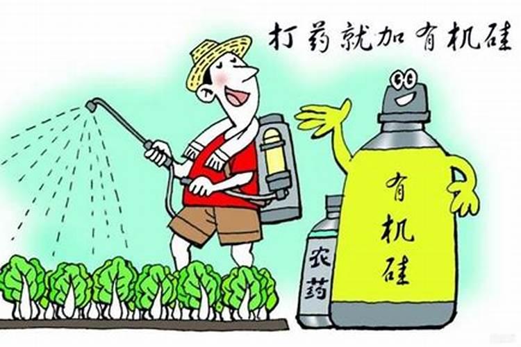硅肥有哪些