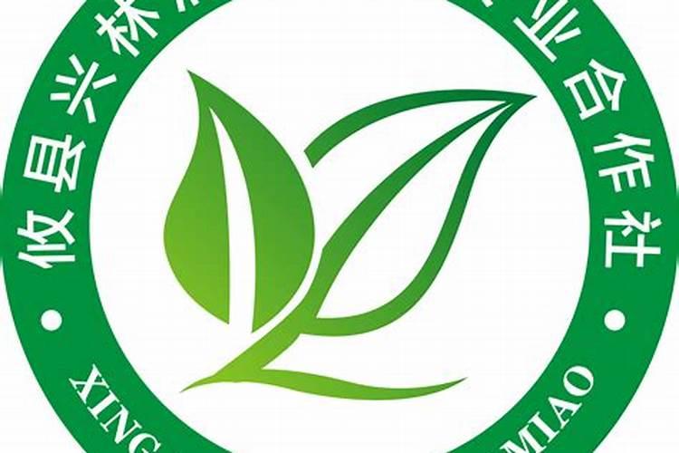 茶油树想拥有比较高的产量,有没有什么好用的技巧？