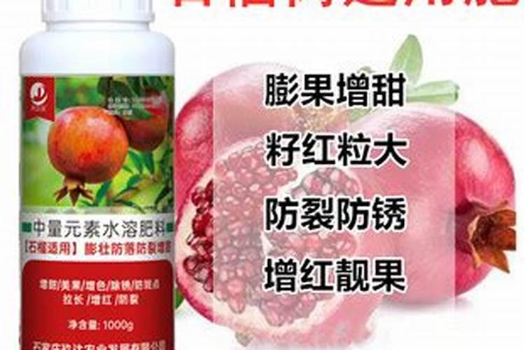 石榴树如何施肥