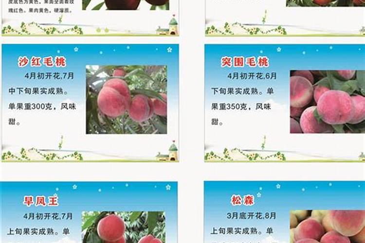 桃树专用叶面肥哪种好？叶面肥用昆仑风效果好,叶面肥价格多少？