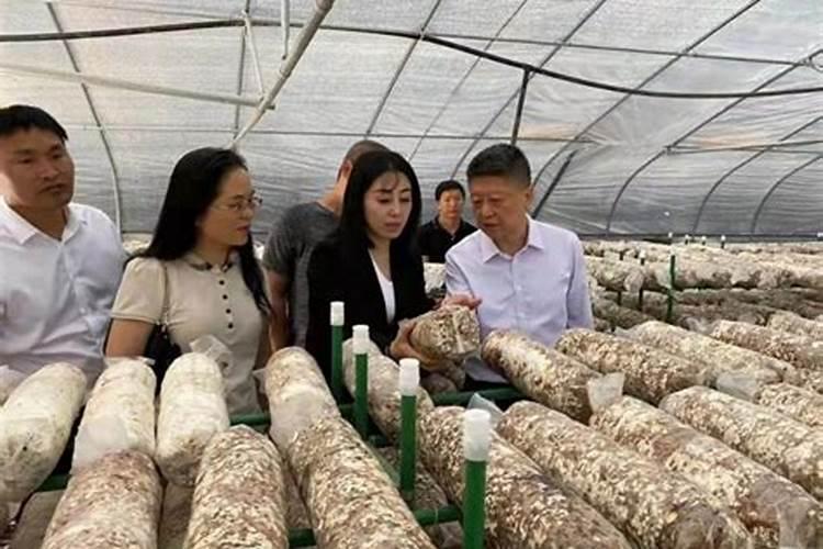 水产养殖鱼塘补了菌和肥更缺氧怎么办