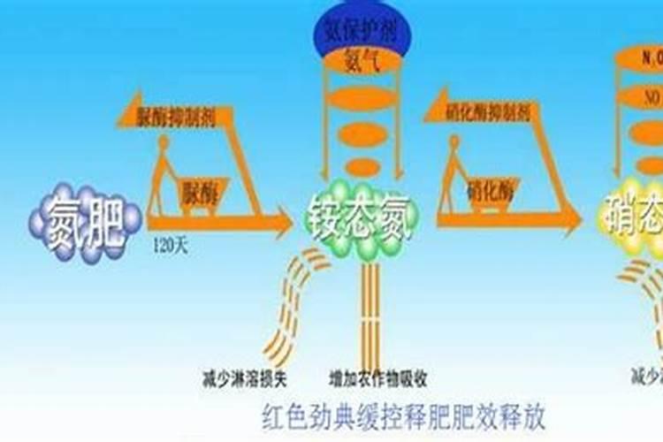 缓释肥和控释肥的区别