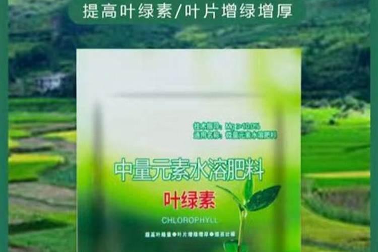 花卉用什么肥叶子油亮 叶片发黄怎么应对