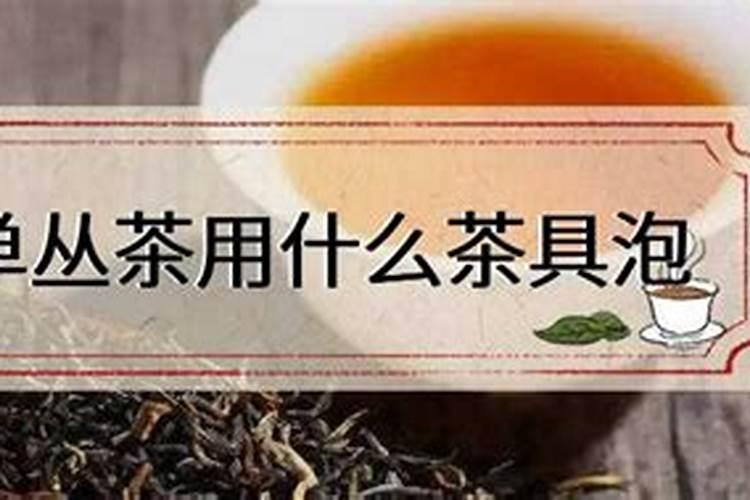 什么是单丛茶？单丛茶与铁观音有何区别？