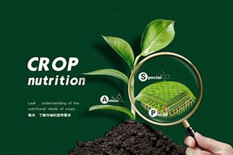 玉米用什么肥料做底肥好