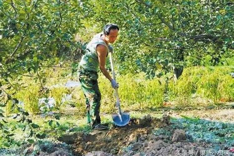 复合肥专业配料员招聘条件及专业要求详解