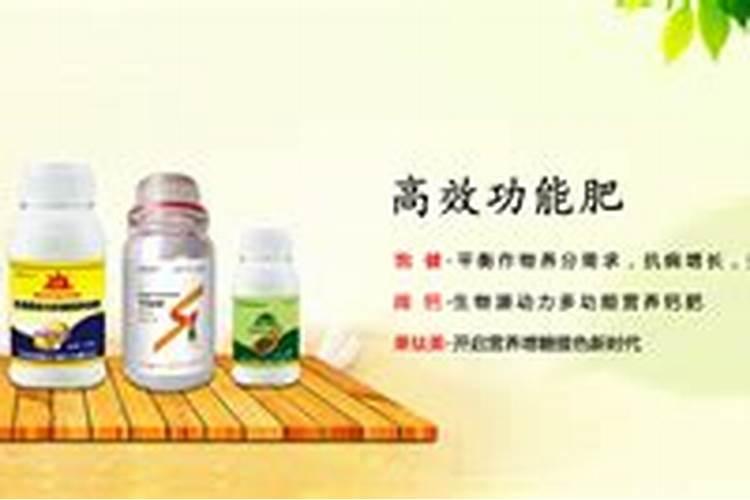 有机肥和无机肥有什么区别？