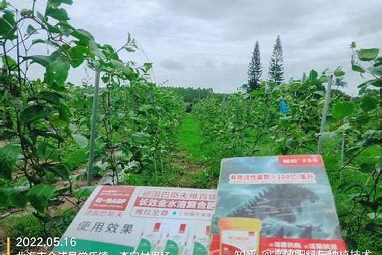 福进门液体水溶肥好吗？用效果来证明