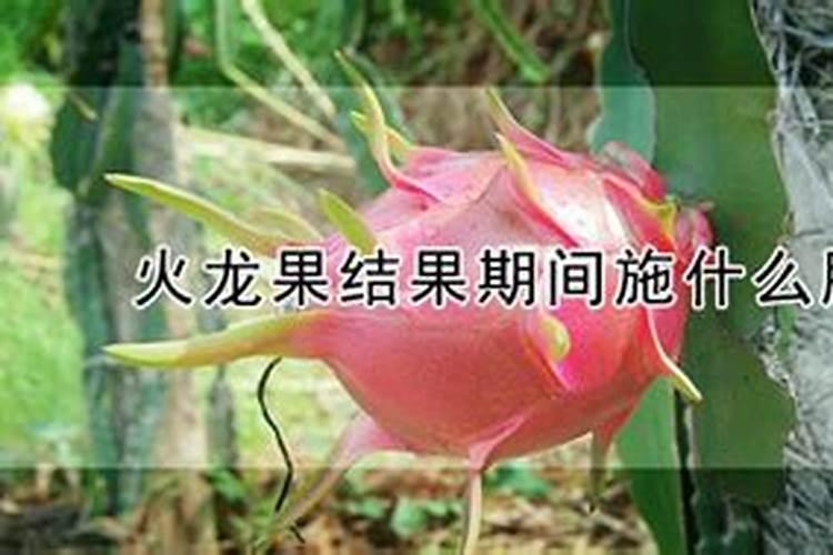 种土豆底肥什么肥料最好