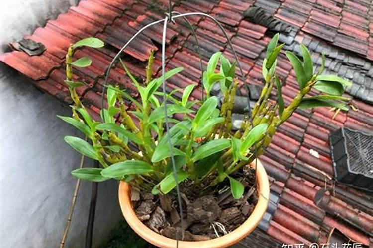 糖醇钙镁可以和流体硼混用吗