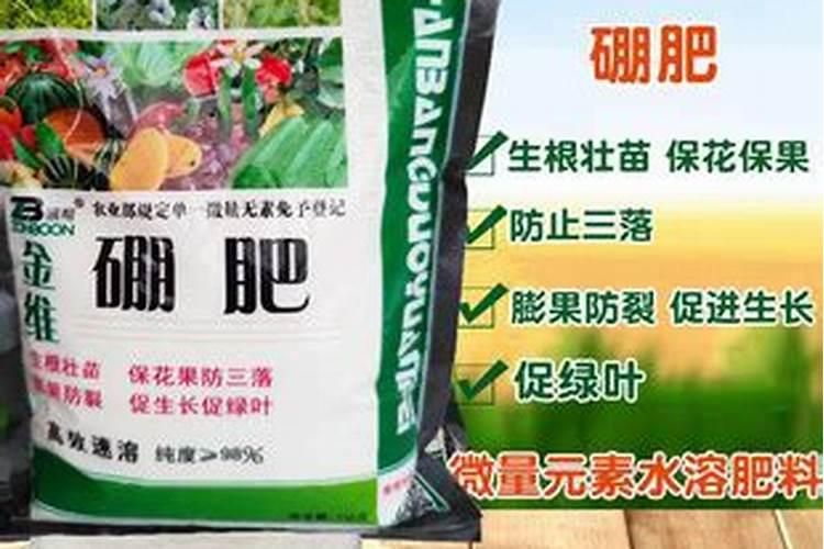 玉米用液态氮肥好不好？省时省力利用率高,但要注意用量