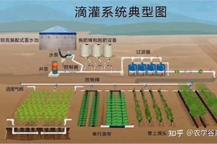 尿素价格狂涨,明年的粮食价格会怎么样呢？