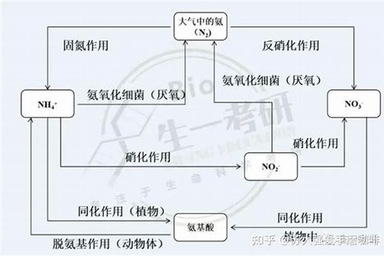 硝酸和氨气反应产物是硝酸铵吗？