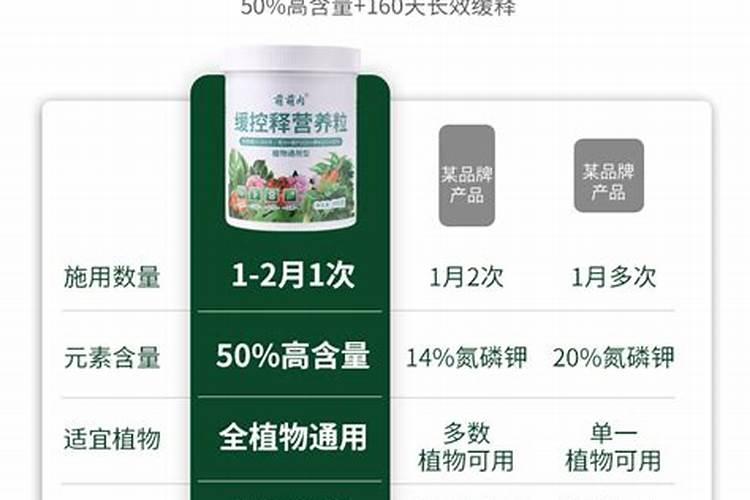 专用君子兰肥料可以浇多肉吗？