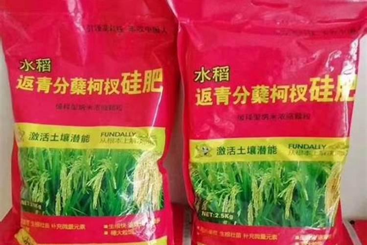 中国最好的硅肥生产企业有哪些？推荐几家,我想代理硅肥