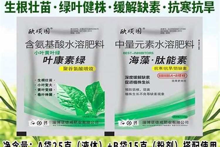 甜瓜苗期可以喷叶面肥吗？