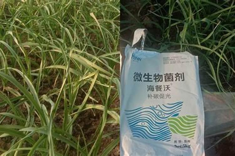 水溶肥的前景真的那么好么？