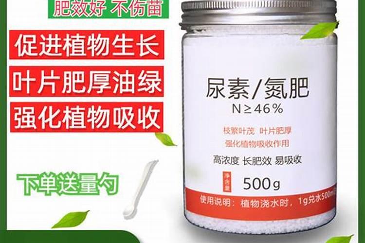 蝴蝶兰水养殖怎么施肥