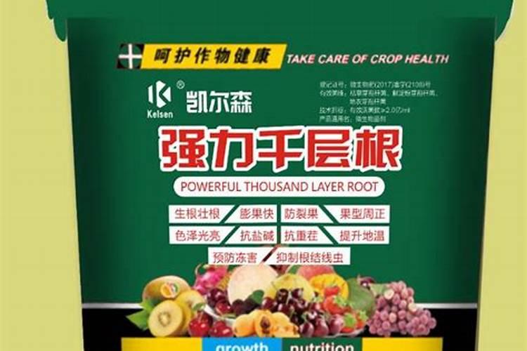 水溶肥灌根的注意事项