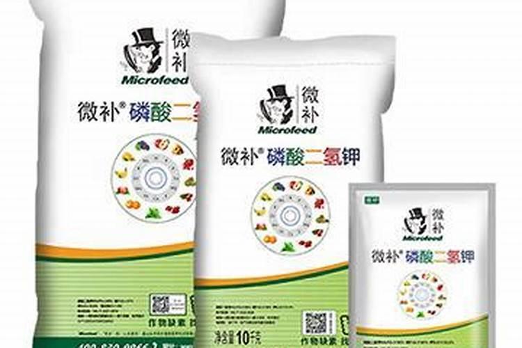 想要果实快速膨大用什么水溶肥好