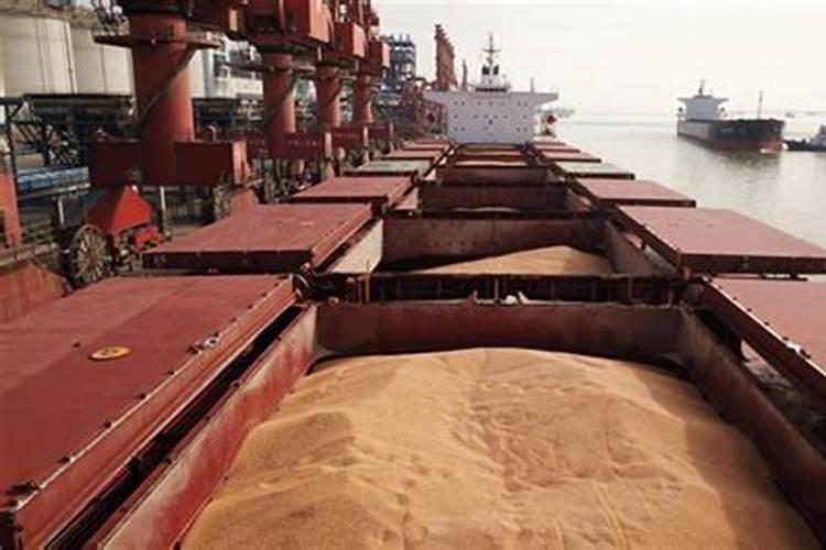 美国/澳大利亚谷物稳性计算填表及注意事项